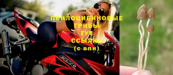 шишки Козловка