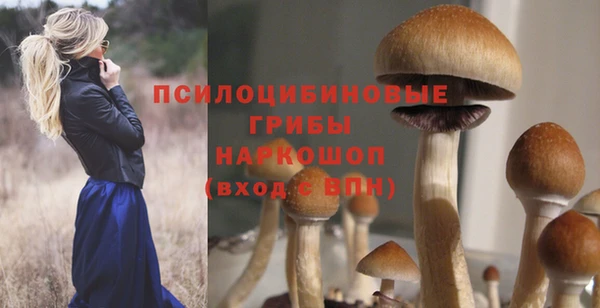 ешки Костерёво