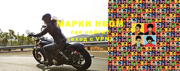 шишки Козловка