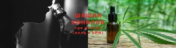 шишки Козловка